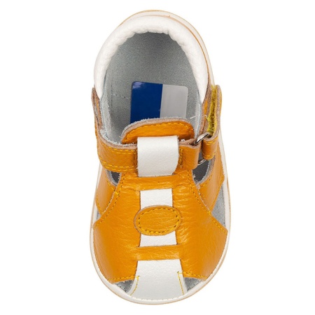 �������� ��� ��������� 26